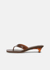 SADDLE